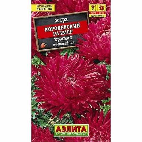 купить за 50 руб, фото Семена Астра Королевский размер, красная, пионовидное, однолетник, (Аэлита) 0,1г