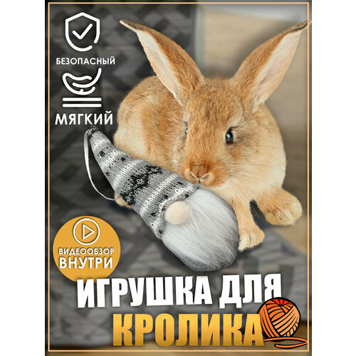 купить за 450 руб, фото Игрушка для кролика, гномик, игрушки для грызунов, игрушки для животных