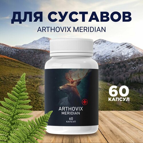 купить за 495 руб, фото Средство для здоровья суставов Arthovix Meridian