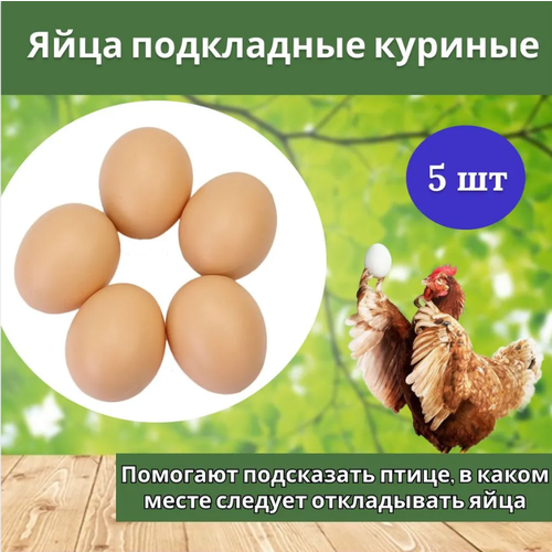 купить за 355 руб, фото Комплект Яйцо подкладное куриное ( муляж) 5 штук