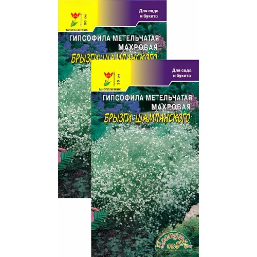 купить за 249 руб, фото Гипсофила Брызги Шампанского (0,1 г), 2 пакета