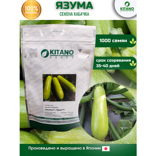 купить за 4220 руб, фото Язума F1 (KS 3714) - семена кабачка, 1000 семян, Китано/Kitano (Япония)