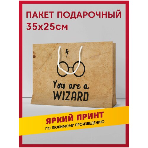 купить за 549 руб, фото Пакет подарочный сувенирный с принтом Harry Potter / Гарри Поттер и школы Хогвартса: Гриффиндор, Слизерин, Пуффендуй, Когтевран