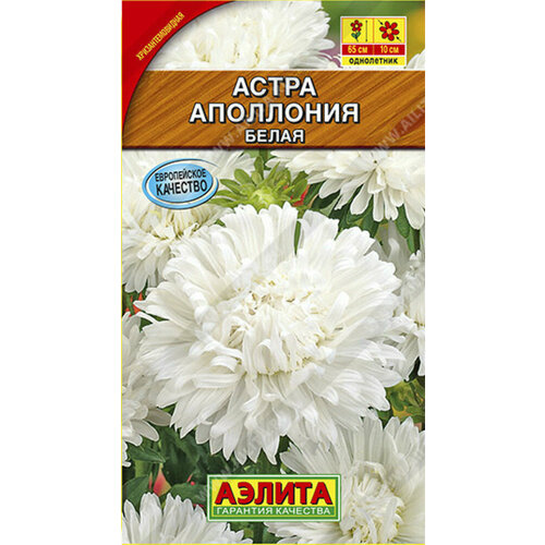 купить за 40 руб, фото Семена Астра Аполлония Белая хризантемовидная 0.2г Одн 70см (Аэлита)