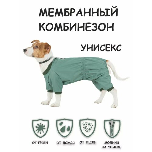 купить за 1339 руб, фото Новинка! Дождевик для собак DOGMODA Мартин (цвет мятный) унисекс р. 3, 28см