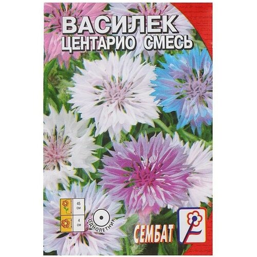 купить за 50 руб, фото Семена цветов Василек 