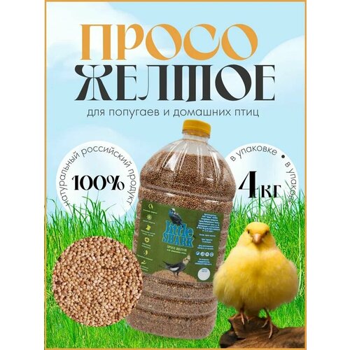 купить за 550 руб, фото Просо желтое для попугаев и домашних птиц 4 кг