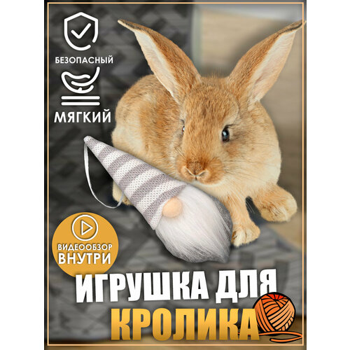 купить за 627 руб, фото Игрушка для кролика, гномики, игрушки для грызунов, игрушки для животных