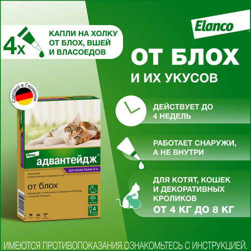 купить за 2210 руб, фото Адвантейдж® (Elanco) капли на холку от блох для кошек более 4 кг - 4 пипетки