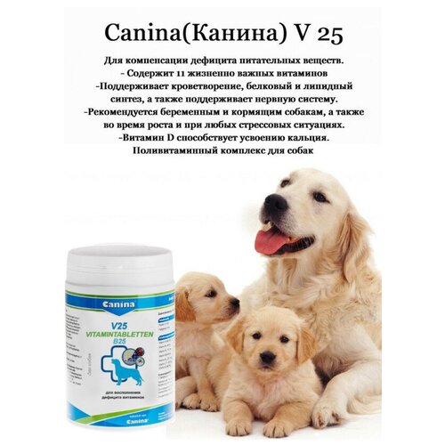 купить за 6300 руб, фото Добавка в корм для собак Canina V 25, 700г/210 таб