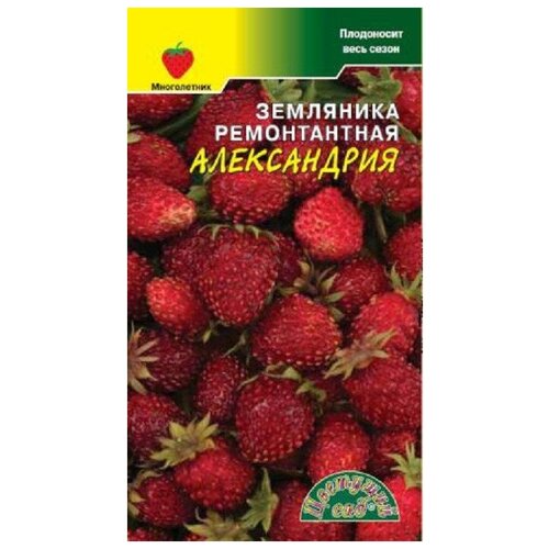 купить за 600 руб, фото Семена Цветущий сад 