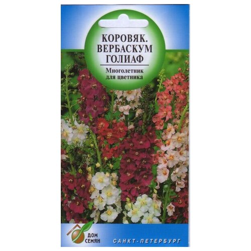 купить за 241 руб, фото Коровяк многолетний Вербаскум Голиаф, 300 семян