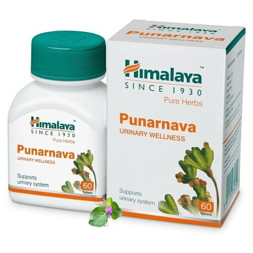 купить за 550 руб, фото Пунарнава Himalaya Wellness Pure Herb 60 таб.