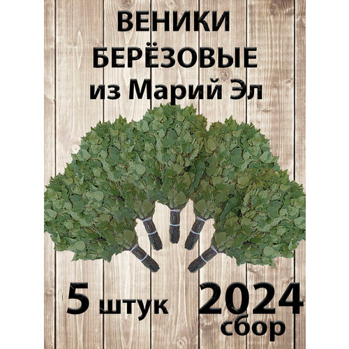 купить за 2250 руб, фото Веник березовый для бани 5 штук Марий Эл, сбор 2024 года