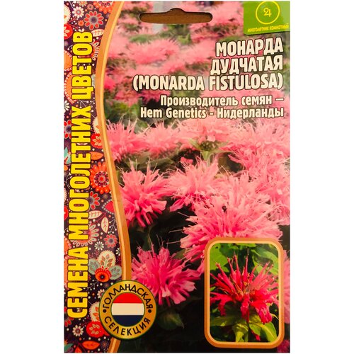 купить за 235 руб, фото Семена Монарды дудчатой (Monarda fistulosa) (0,1 г)