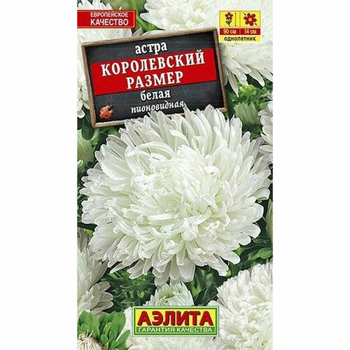 купить за 50 руб, фото Семена Астра Королевский размер, белая, пионовидное, однолетник, (Аэлита) 0,1г