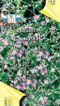 Trädgårdsblommor Dvärg Pepperweed, Lepidium nanum lila Fil, beskrivning och uppodling, odling och egenskaper