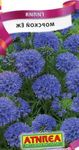 Garden Flowers Gilia, Bird's Eyes lilac Photo, description and cultivation, growing and characteristics