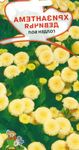 Hage blomster Tanacetum Parthenium, Matricaria parthenium (Tanacetum parthenium) gul Bilde, beskrivelse og dyrking, voksende og kjennetegn