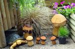 Διακοσμητικά φυτά Νέα Ζηλανδία Σπαθόχορτο Μαλλιά δημητριακά, Carex καφέ φωτογραφία, περιγραφή και καλλιέργεια, φυτοκομεία και χαρακτηριστικά